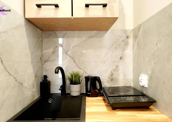 公寓 Mmrent Galaxy 格但斯克